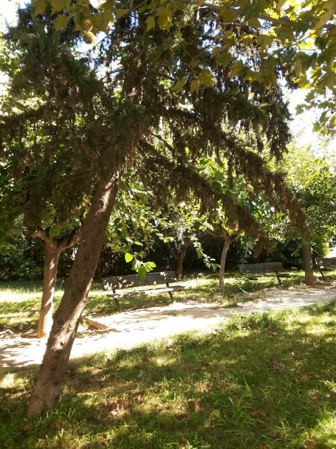 Αnna'S Home!!!Holidays In Beautiful أثينا المظهر الخارجي الصورة